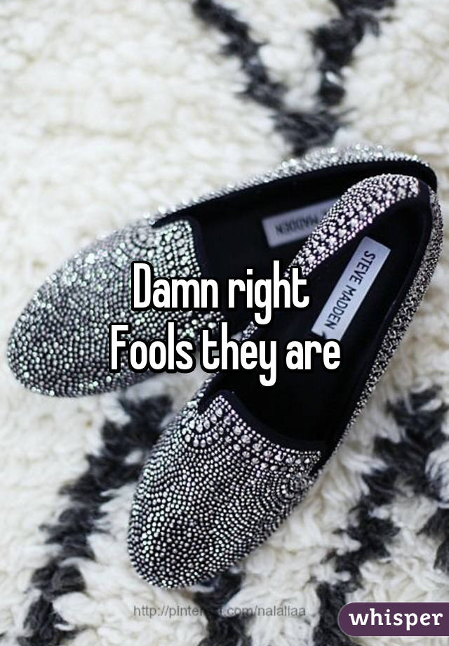 Damn right 
Fools they are