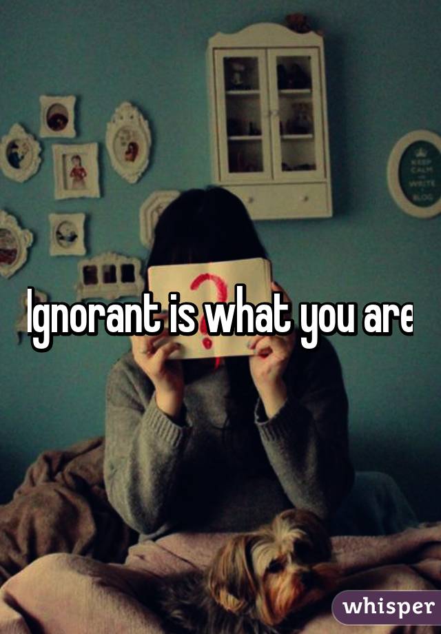 Ignorant is what you are