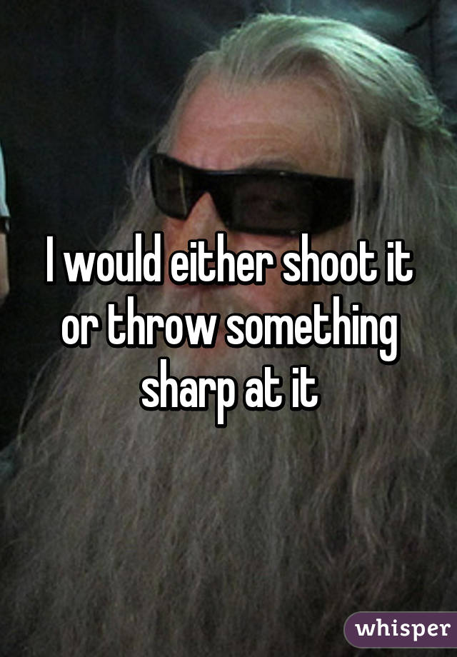 I would either shoot it or throw something sharp at it