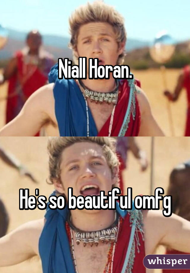 Niall Horan.




He's so beautiful omfg