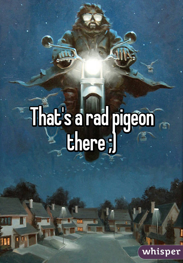 That's a rad pigeon there ;)