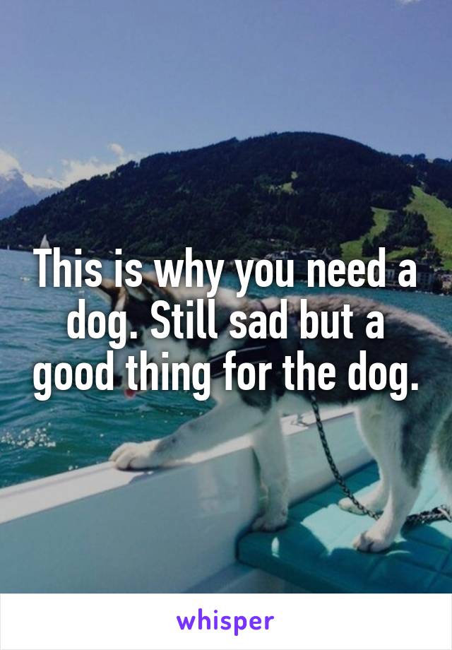 This is why you need a dog. Still sad but a good thing for the dog.