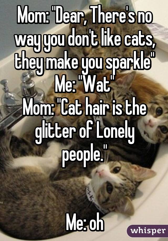 Mom: "Dear, There's no way you don't like cats, they make you sparkle"
Me: "Wat"
Mom: "Cat hair is the glitter of Lonely people."


Me: oh