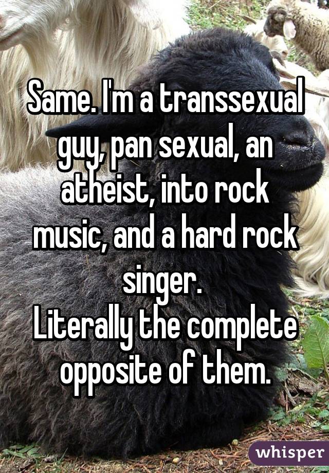 Same. I'm a transsexual guy, pan sexual, an atheist, into rock music, and a hard rock singer. 
Literally the complete opposite of them.