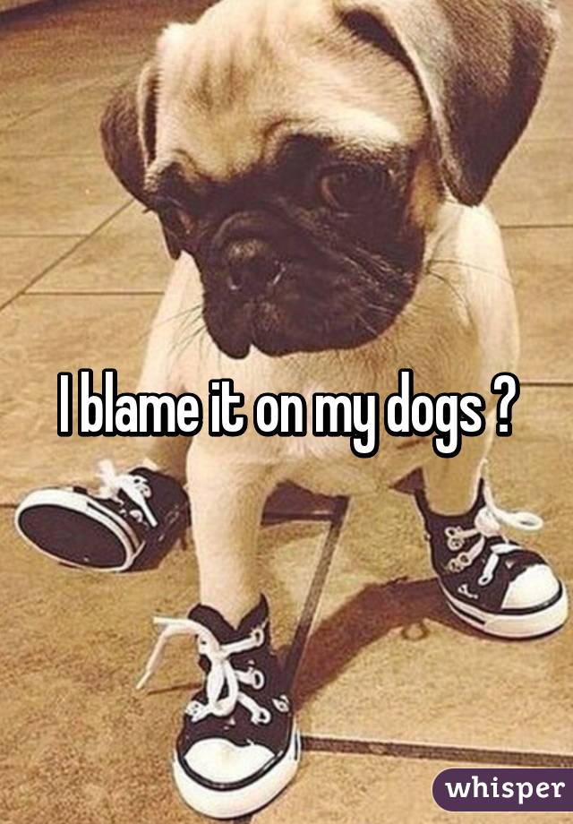 I blame it on my dogs 😆