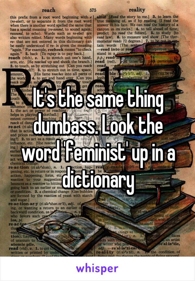 It's the same thing dumbass. Look the word 'feminist' up in a dictionary