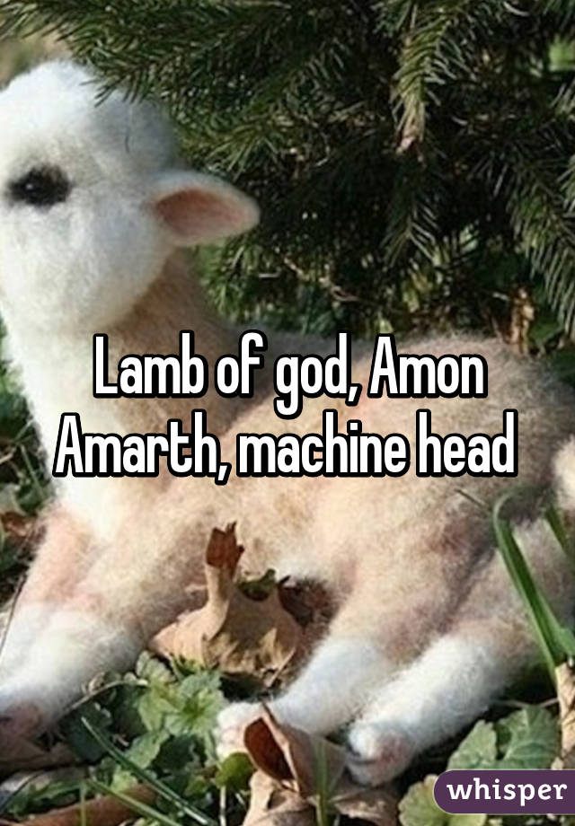 Lamb of god, Amon Amarth, machine head 