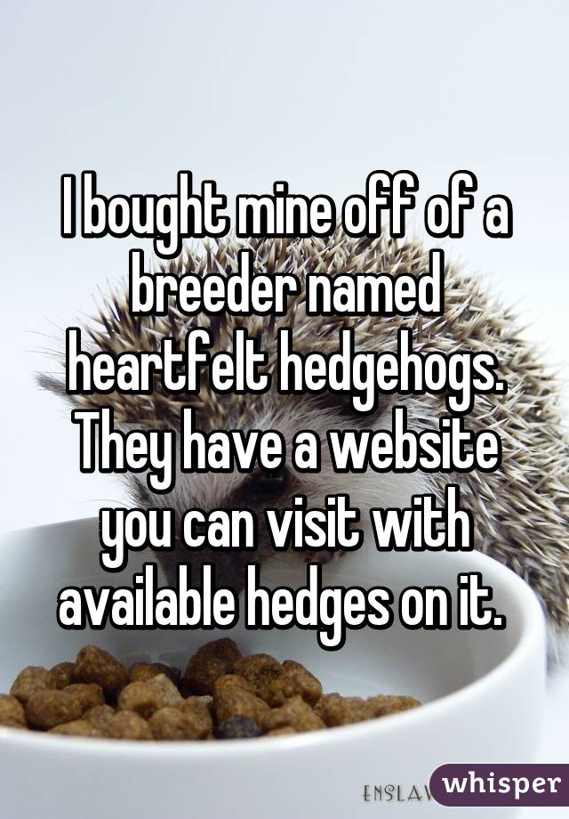 I bought mine off of a breeder named heartfelt hedgehogs. They have a website you can visit with available hedges on it. 