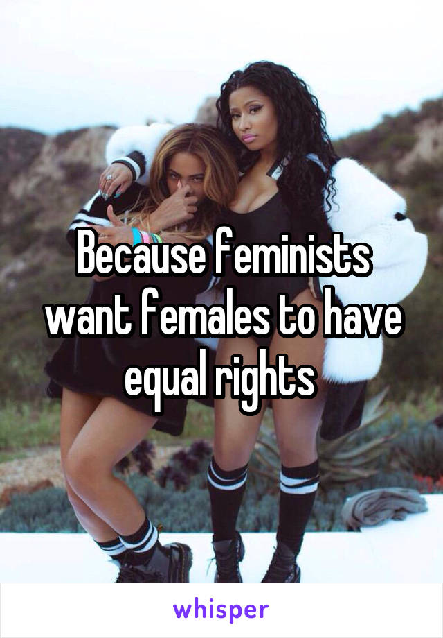 Because feminists want females to have equal rights 