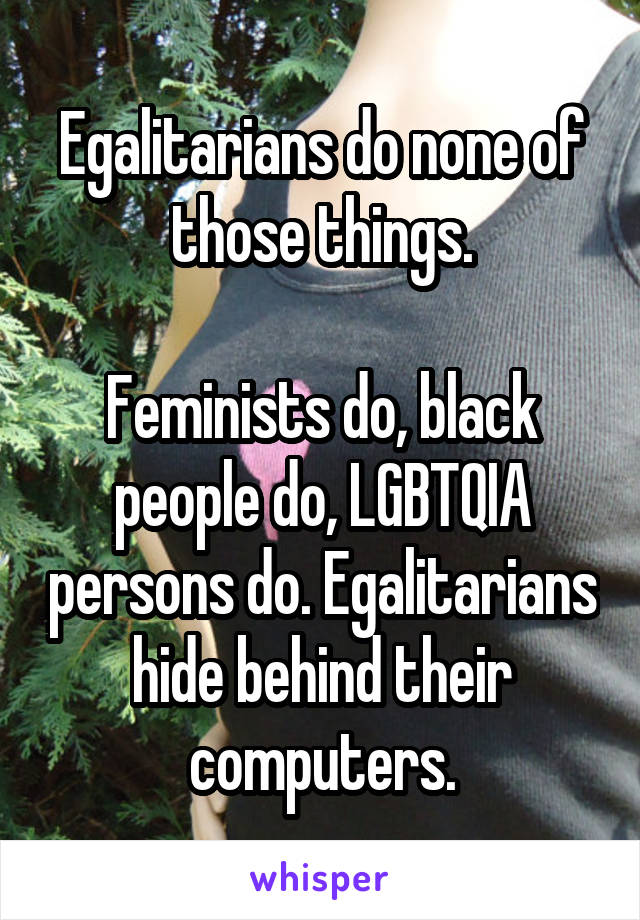 Egalitarians do none of those things.

Feminists do, black people do, LGBTQIA persons do. Egalitarians hide behind their computers.