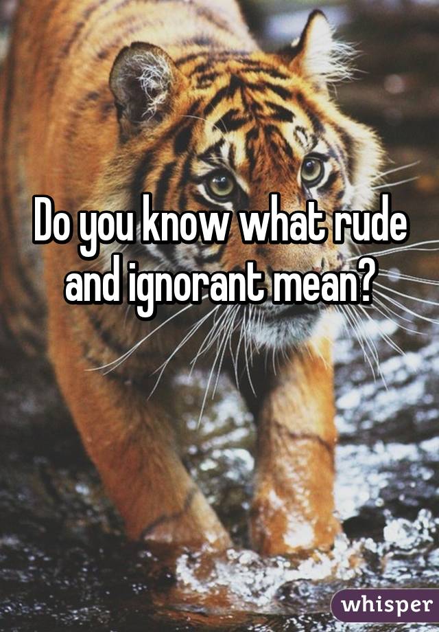 Do you know what rude and ignorant mean?

