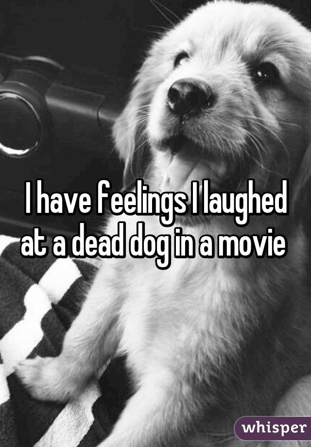 I have feelings I laughed at a dead dog in a movie 