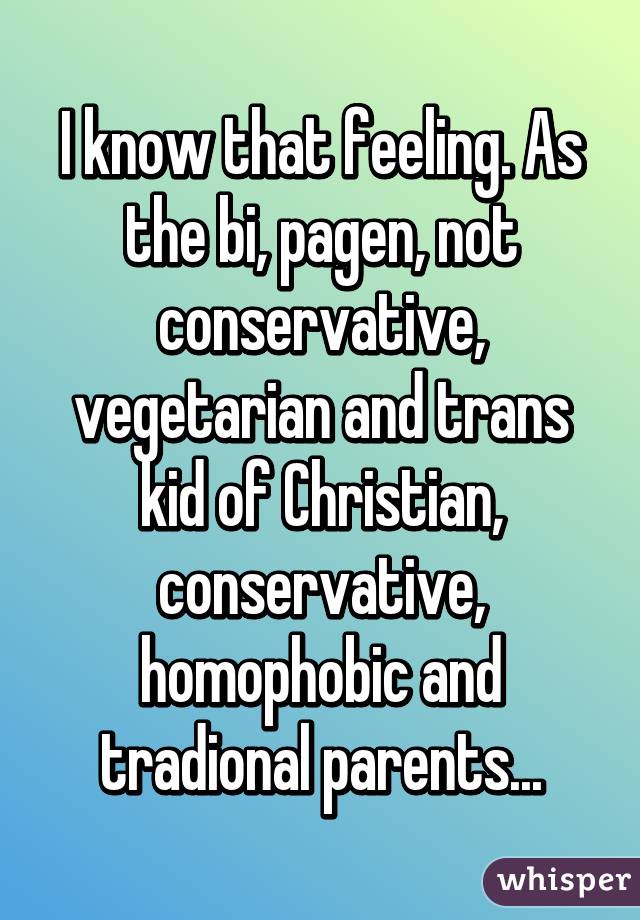 I know that feeling. As the bi, pagen, not conservative, vegetarian and trans kid of Christian, conservative, homophobic and tradional parents...