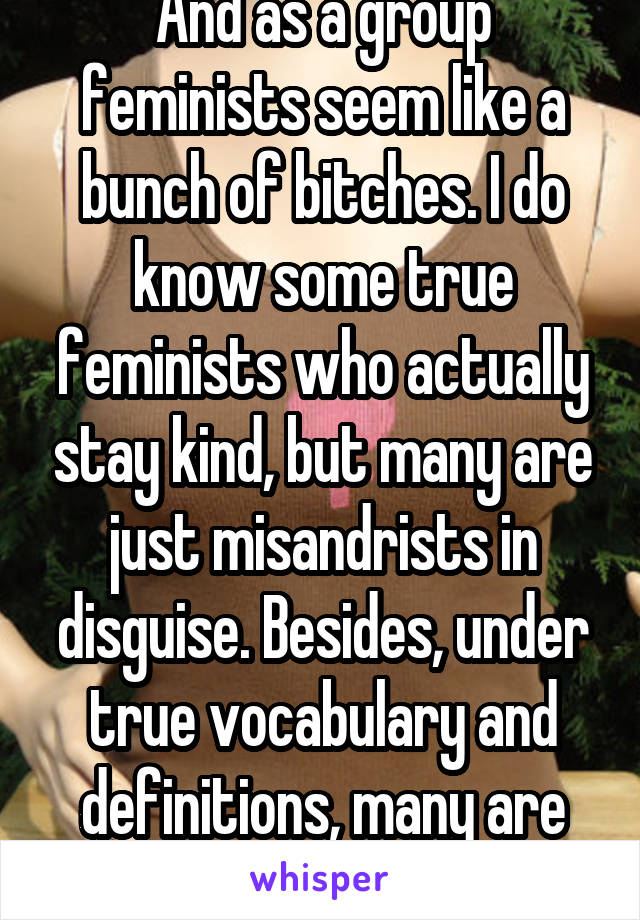 And as a group feminists seem like a bunch of bitches. I do know some true feminists who actually stay kind, but many are just misandrists in disguise. Besides, under true vocabulary and definitions, many are under this group.