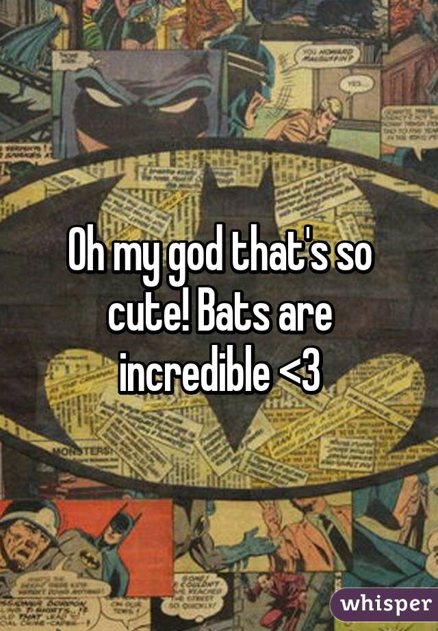 Oh my god that's so cute! Bats are incredible <3