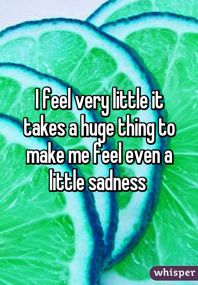 I feel very little it takes a huge thing to make me feel even a little sadness 