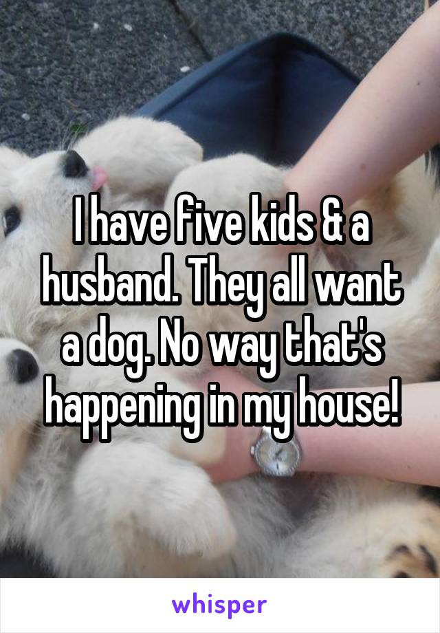 I have five kids & a husband. They all want a dog. No way that's happening in my house!