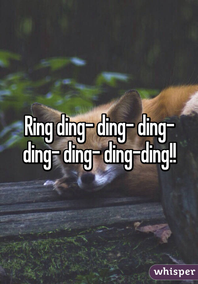 Ring ding- ding- ding- ding- ding- ding-ding!!