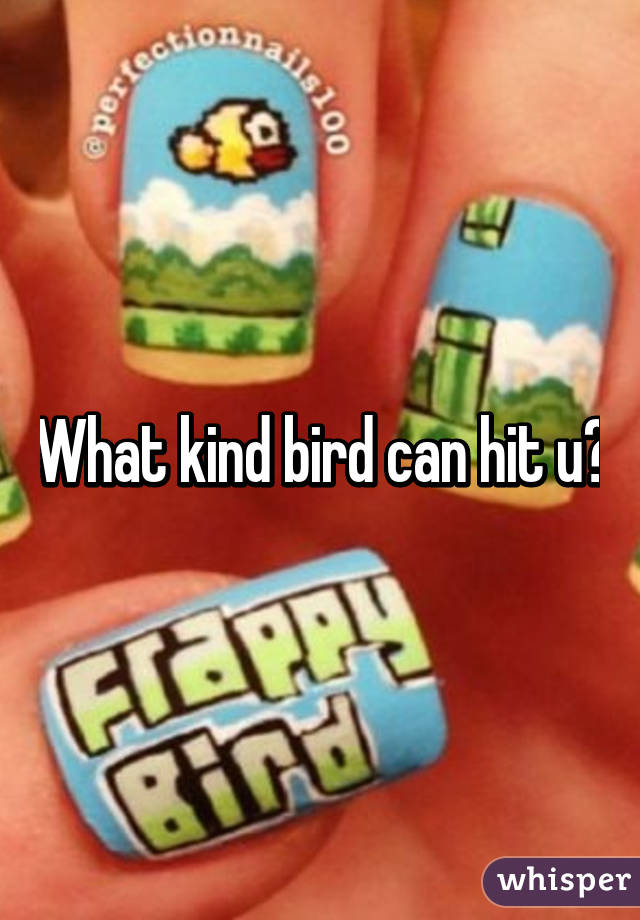 What kind bird can hit u?