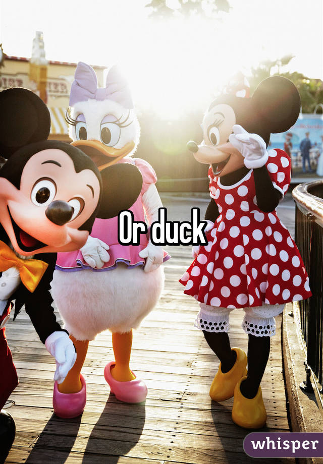 Or duck