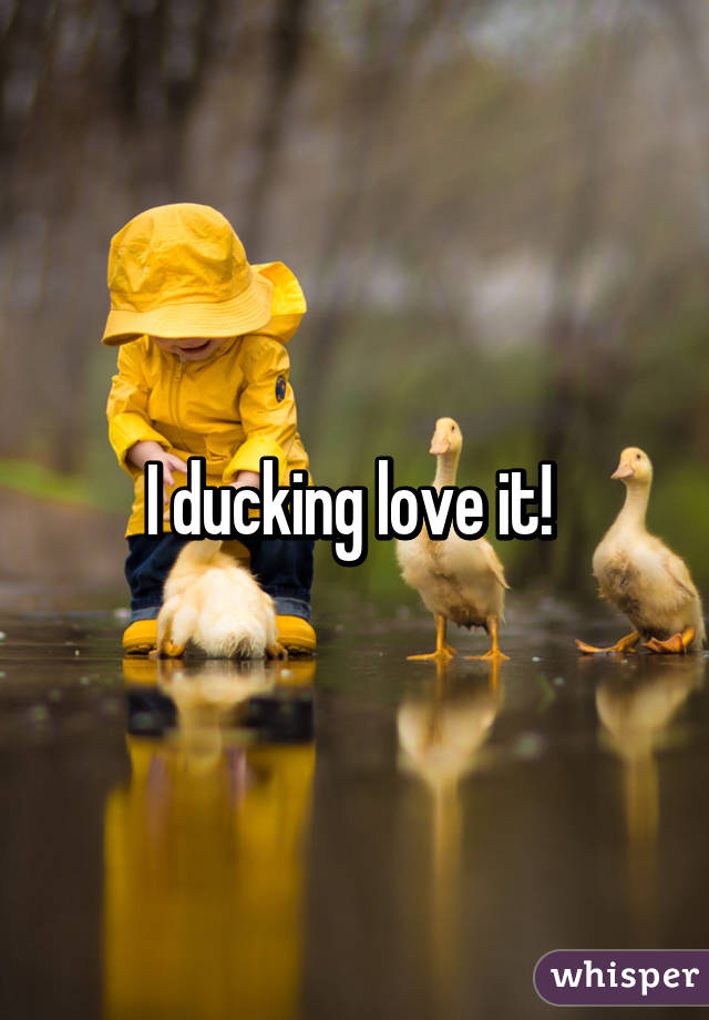 I ducking love it! 