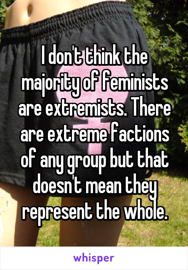 I don't think the majority of feminists are extremists. There are extreme factions of any group but that doesn't mean they represent the whole.