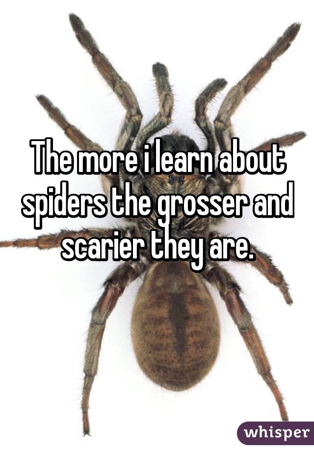 The more i learn about spiders the grosser and scarier they are.
