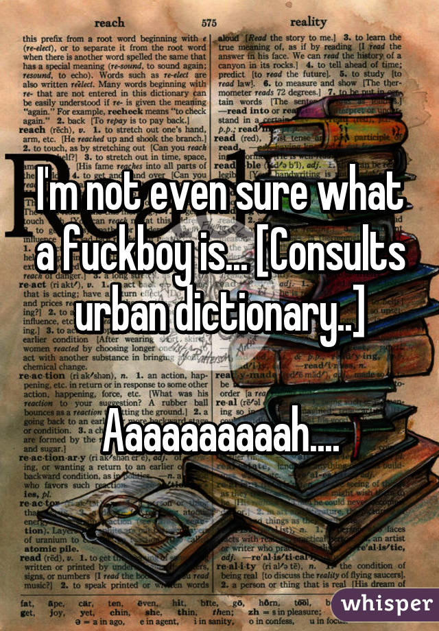 I'm not even sure what a fuckboy is... [Consults urban dictionary..]

Aaaaaaaaaah....