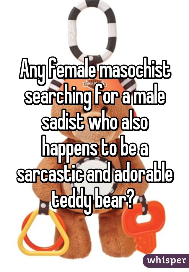 Any female masochist searching for a male sadist who also happens to be a sarcastic and adorable teddy bear? 