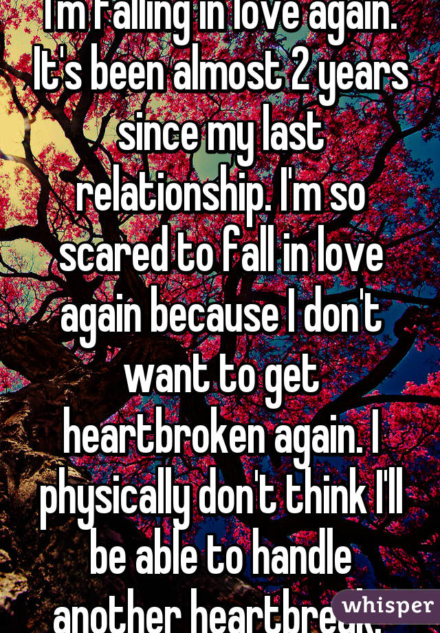 I'm falling in love again. It's been almost 2 years since my last relationship. I'm so scared to fall in love again because I don't want to get heartbroken again. I physically don't think I'll be able to handle another heartbreak. 
