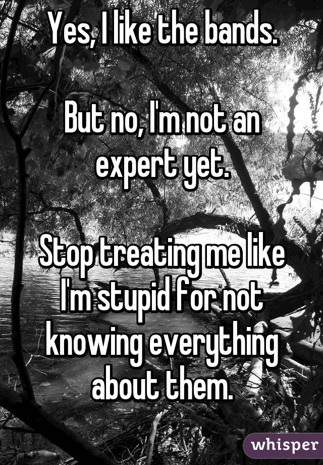 Yes, I like the bands.

But no, I'm not an expert yet.

Stop treating me like I'm stupid for not knowing everything about them.
