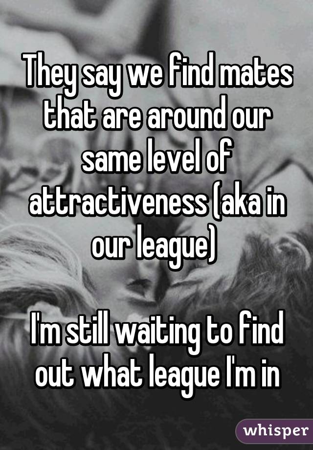 They say we find mates that are around our same level of attractiveness (aka in our league) 

I'm still waiting to find out what league I'm in