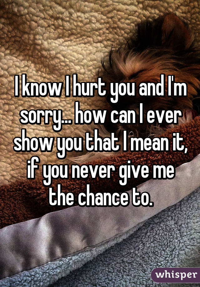 I know I hurt you and I'm sorry... how can I ever show you that I mean it, if you never give me the chance to.