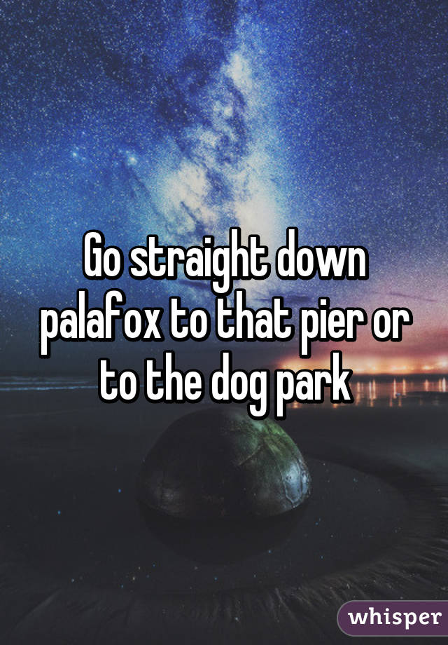 Go straight down palafox to that pier or to the dog park