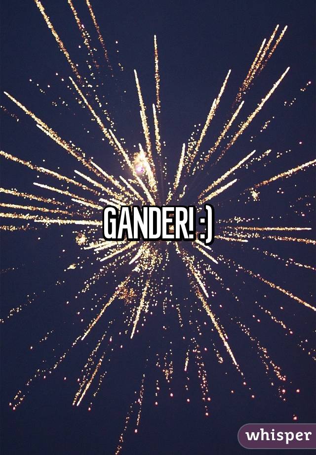 GANDER! :)