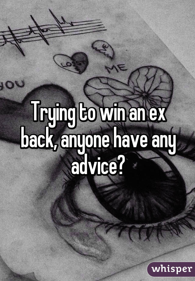 Trying to win an ex back, anyone have any advice?