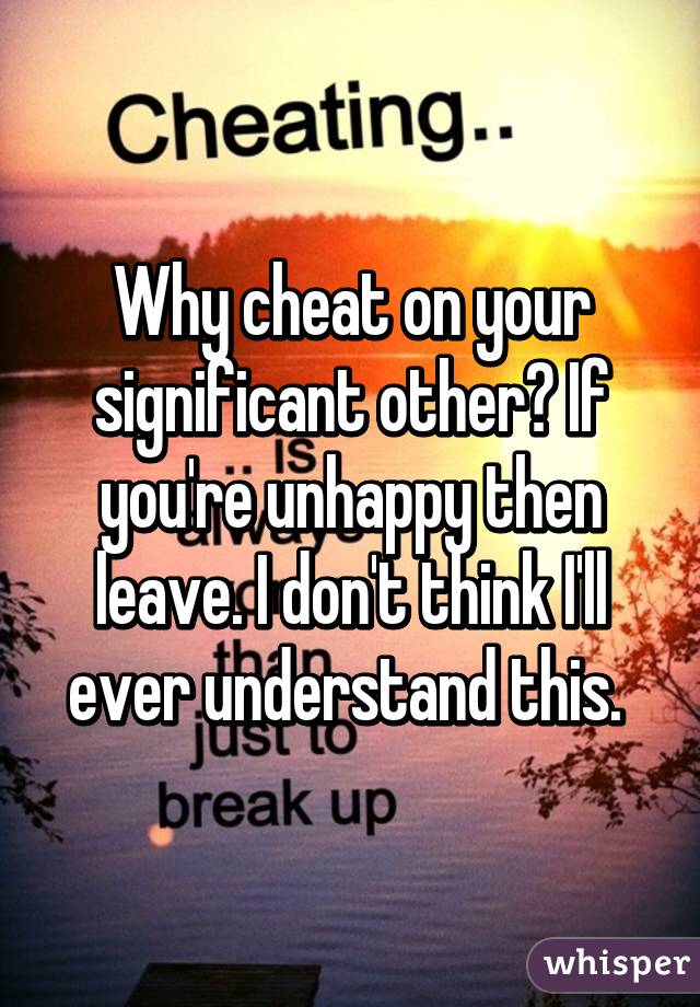 Why cheat on your significant other? If you're unhappy then leave. I don't think I'll ever understand this. 