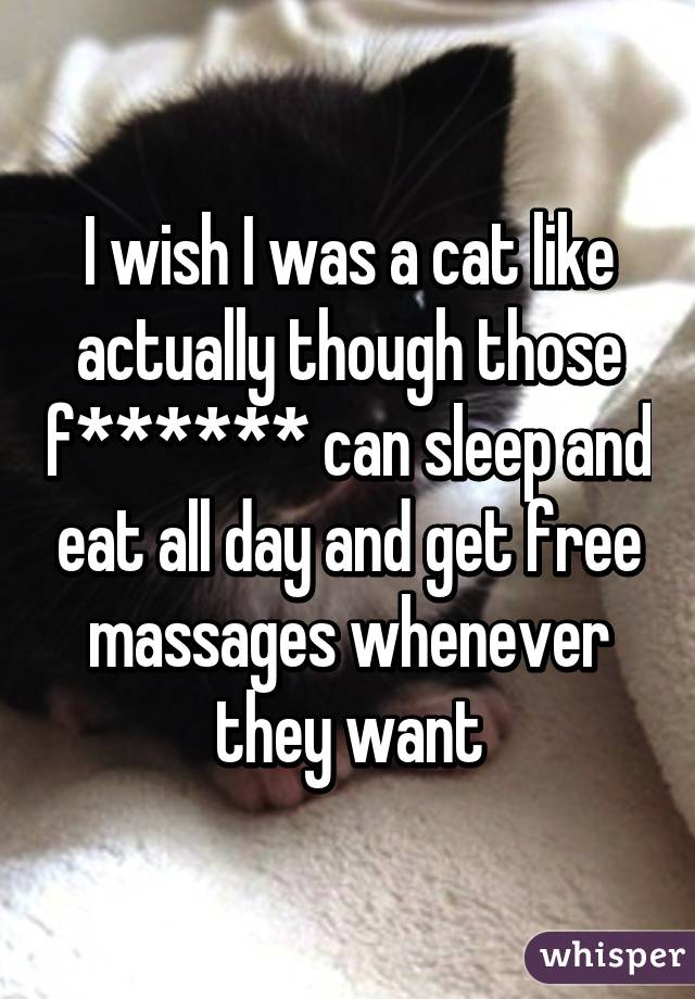 I wish I was a cat like actually though those f****** can sleep and eat all day and get free massages whenever they want