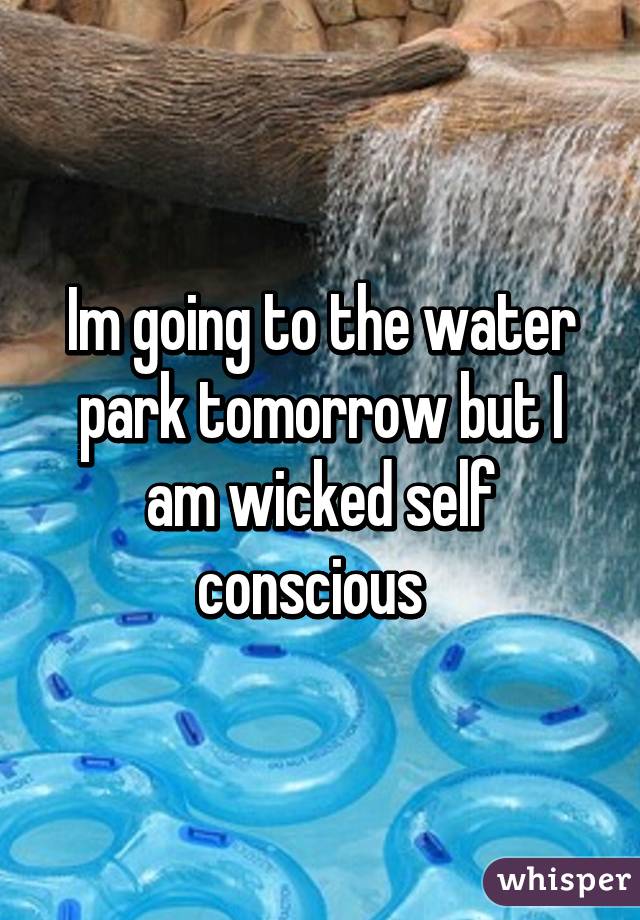 Im going to the water park tomorrow but I am wicked self conscious  