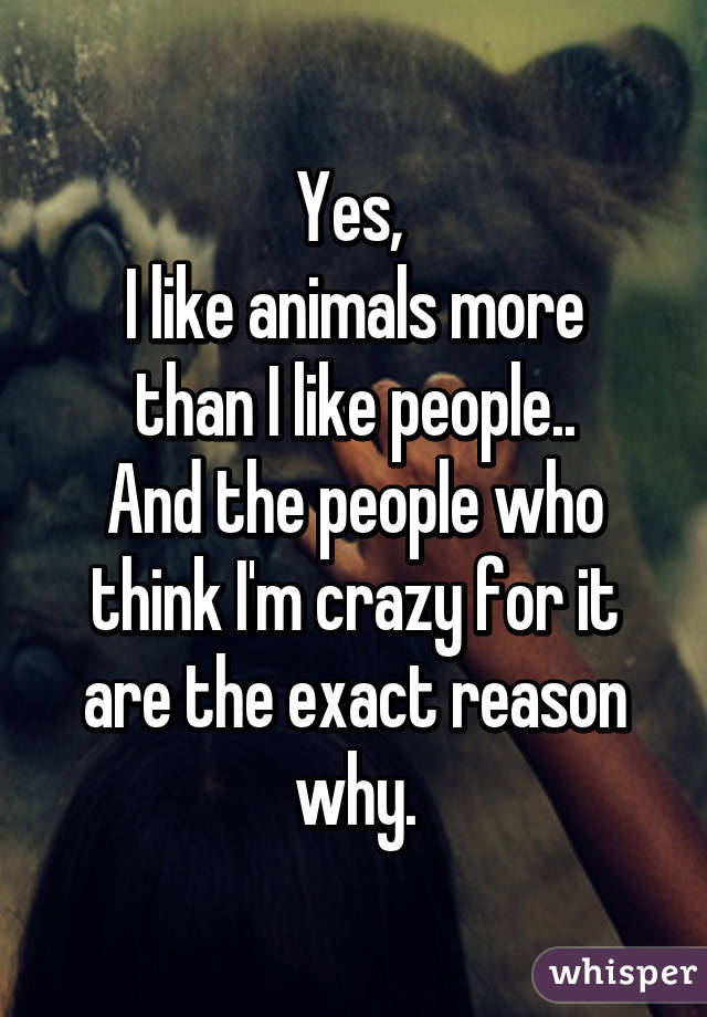 Yes, 
I like animals more than I like people..
And the people who think I'm crazy for it are the exact reason why.