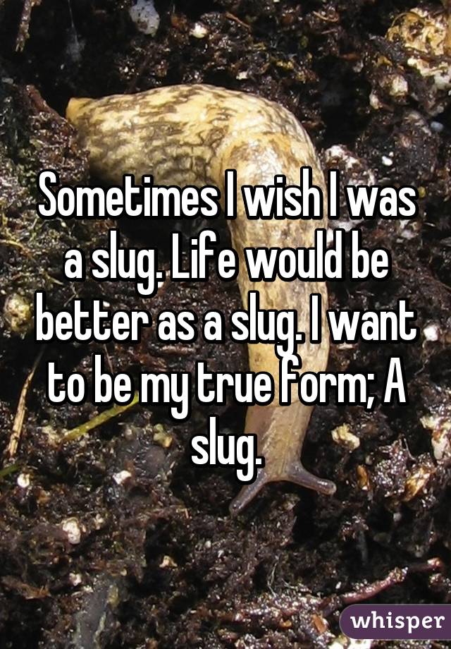 Sometimes I wish I was a slug. Life would be better as a slug. I want to be my true form; A slug.