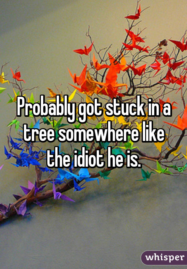 Probably got stuck in a tree somewhere like the idiot he is.