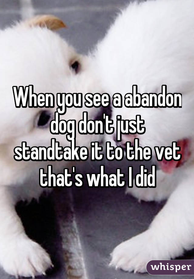 When you see a abandon dog don't just standtake it to the vet that's what I did