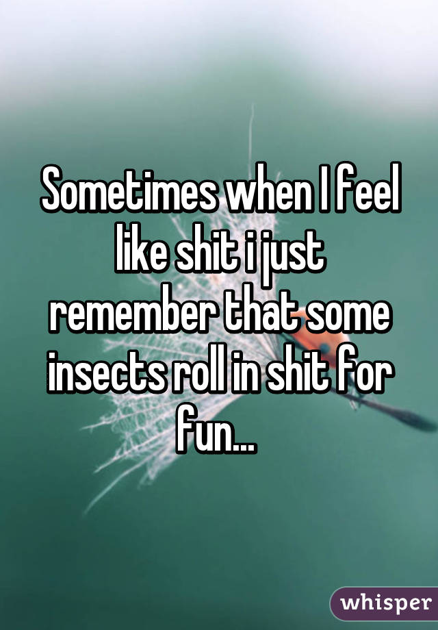 Sometimes when I feel like shit i just remember that some insects roll in shit for fun... 