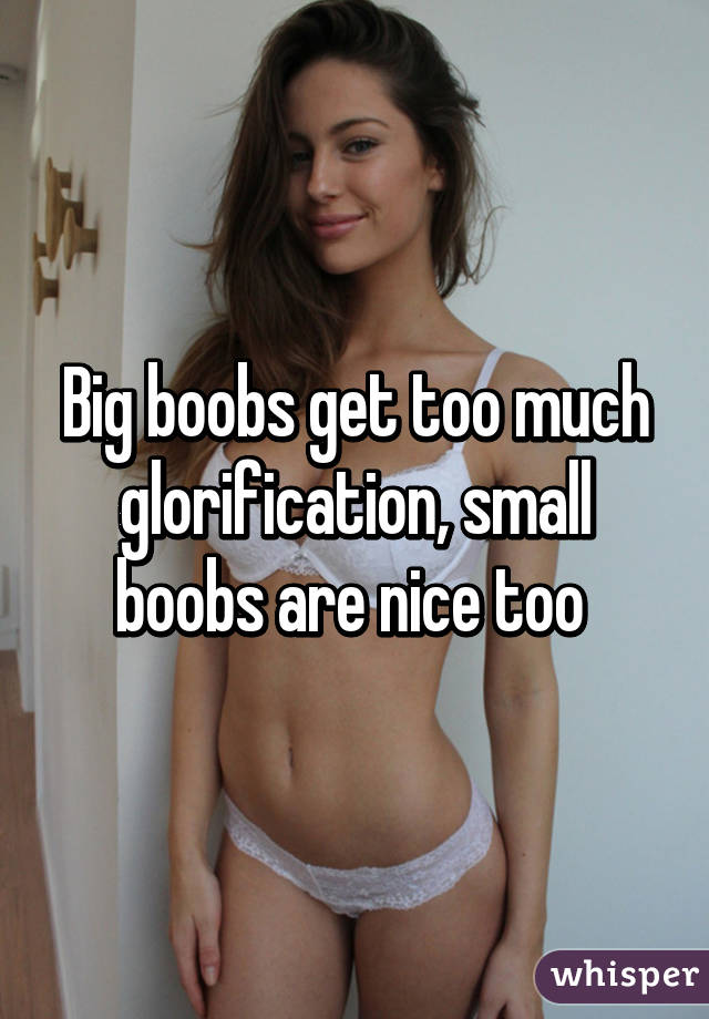 Big boobs get too much glorification, small boobs are nice too 