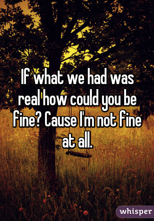 If what we had was real how could you be fine? Cause I'm not fine at all.