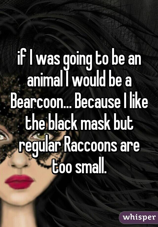 if I was going to be an animal I would be a Bearcoon… Because I like the black mask but regular Raccoons are too small.