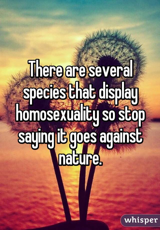 There are several species that display homosexuality so stop saying it goes against nature.