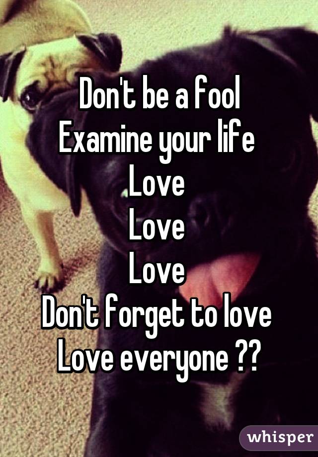 Don't be a fool
Examine your life 
Love 
Love 
Love 
Don't forget to love 
Love everyone ❤️