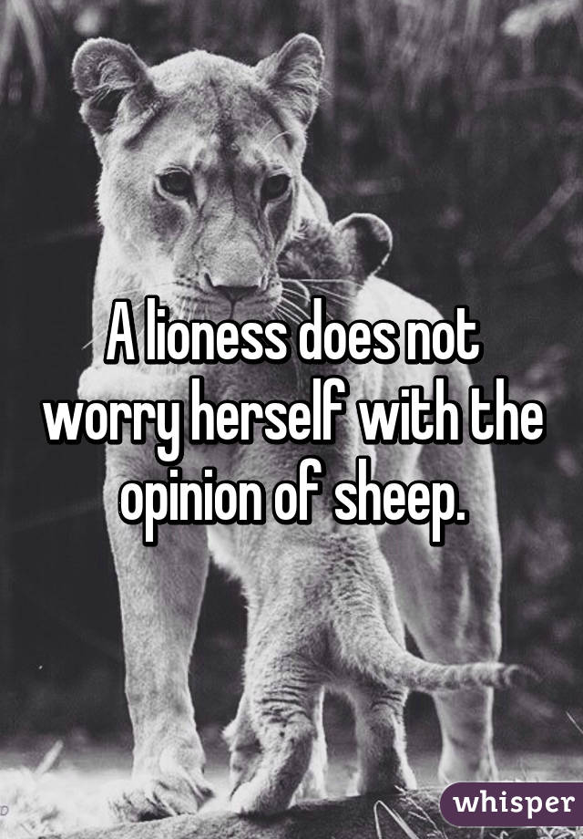 A lioness does not worry herself with the opinion of sheep.